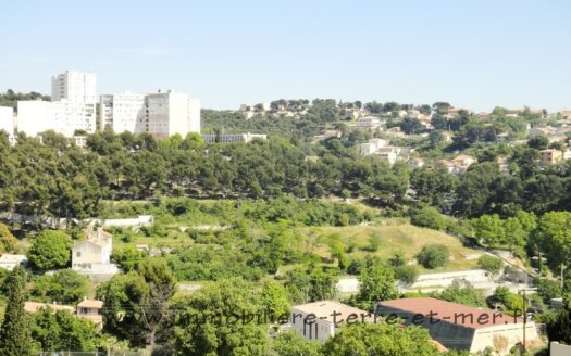 IDEAL INVESTISSEUR MARSEILLE 15E